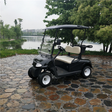 chất lượng tốt xe golf ga 300cc hai chỗ ngồi