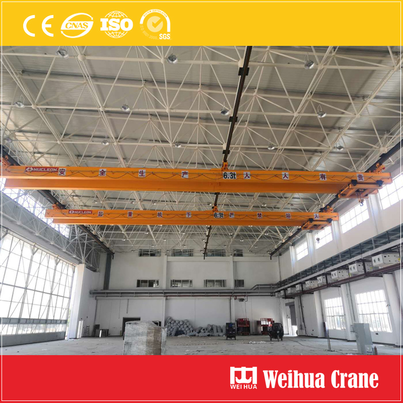 Multi-point-suspension-crane