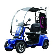 Hot Sale Long Range Electric Scooter with Roof for City Use