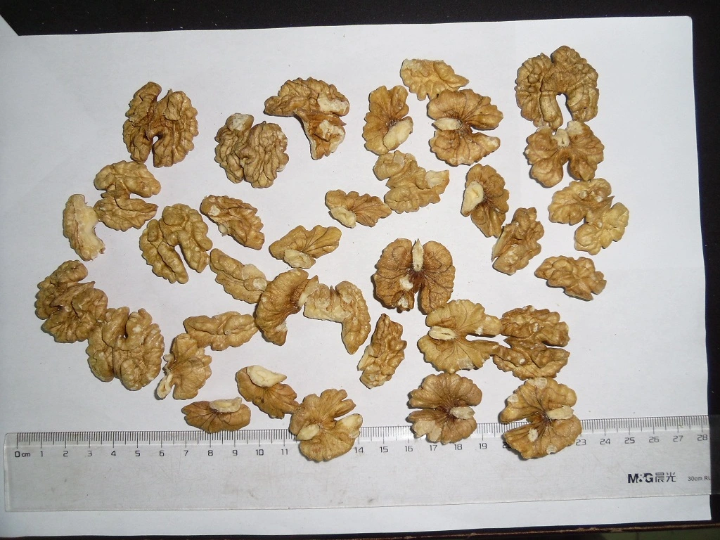 Nutrient-Rich Chinese New Crop Walnut Kernels