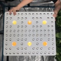 LED de mazorca de cultivo para cultivar plantas médicas