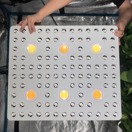 COB LED GROW LICHT VOOR MEDISCHE PLANTEN