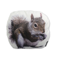 Squirrel door stop