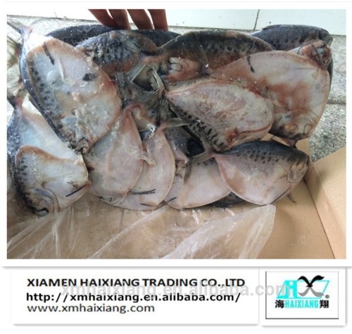 Import export seafood fish moonfish