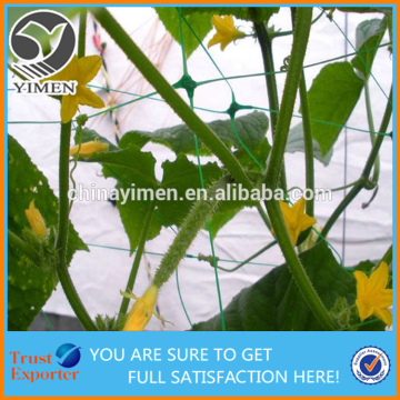 CLIMBING PLANT SUPPORT NET