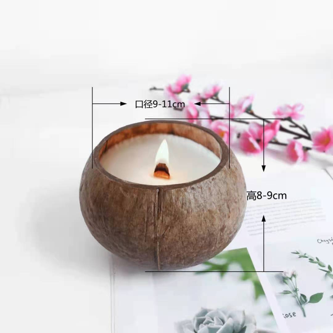 biodegradable coconut bowl