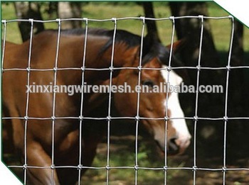 cattle fence/horse fence/sheep fence/cow fence