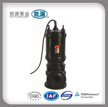 QW non clogging domestic waste water intake pump                        
                                                Quality Assured