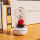 Glass bottle Flower Aroma Diffuser wholesale