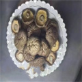 Nature Dried Shiitake Mushrooms
