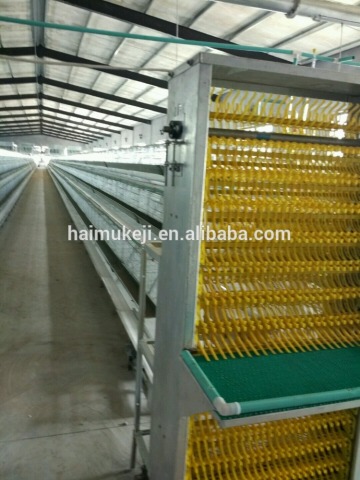 Qingdao automatic A type chicken layer cage