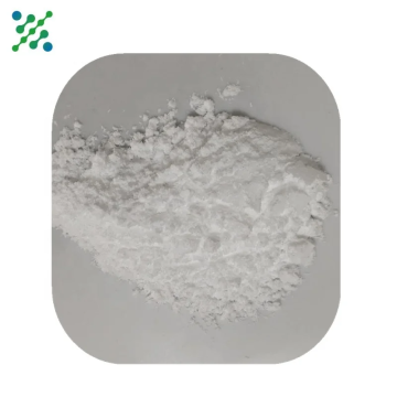 Organic Polygonum Cuspidatum Extract Capsule