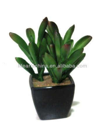 artificial plant, artificial small potted plant, succulent plant