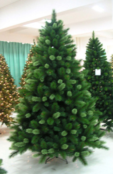 Christmas trees cbt701058