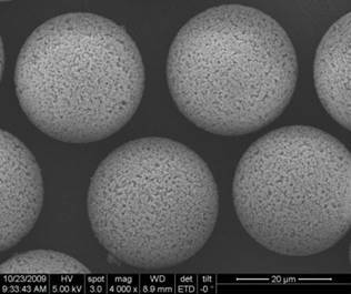 Polymeric Chromatography Media