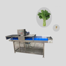 Parsley Root Removing Equipment - Vegetable Root Cutting Machine
