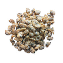 Fresh Frozen Clam Boiling Short Neck Clam