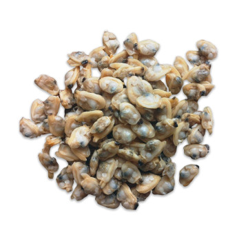 Fresh Frozen Clam Boiling Short Neck Clam