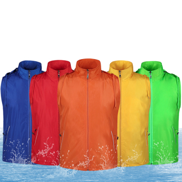 Detachable collar cap vest