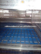 hot sale cage design for laying chicken
