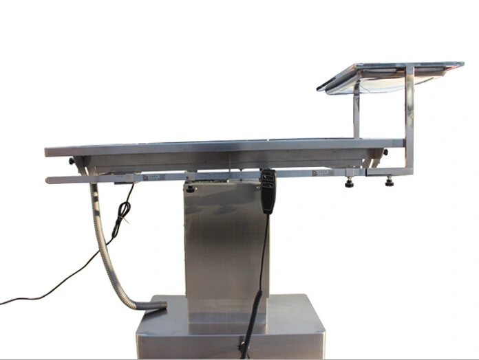 Electric Dog Pet Grooming Table Used for Veterinary Clinic and Hospital