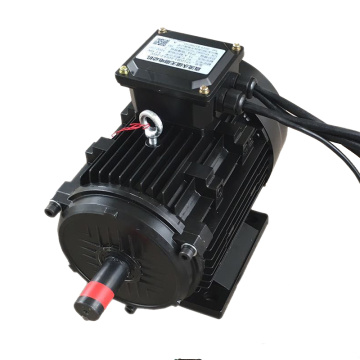 5KW 60VDC 1800rpm Yüksek Tork Fırçasız BLDC Motor