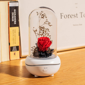 Portable flower aromatherapy freshener air diffuser