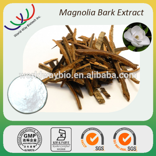 High quality best price free sample for test magnolia powder magnolia bark extract magnolia extract