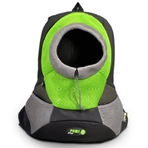 Green Small PVC and Mesh Pet Backpack