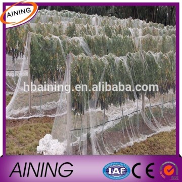 UV treated anti bird hdpe knotted netting