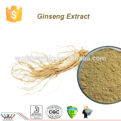 Boost immune system free sample HPLC Kosher FDA cGMP 80% ginsenosides ginseng root extract red ginseng extract