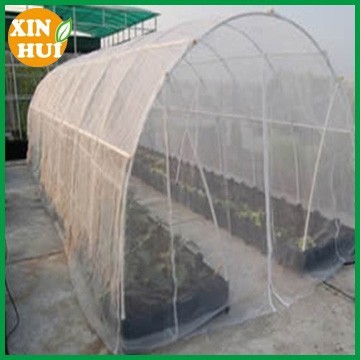 Agricultural Plastic anti aphid netting