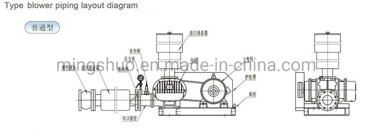 Biogas Blower for Biogas Project Before H2s Scavenger System