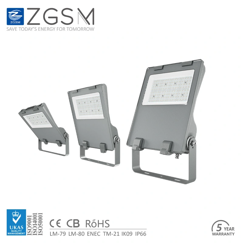 Direct Replacement CE for Easy Maintenance LED Flood Light