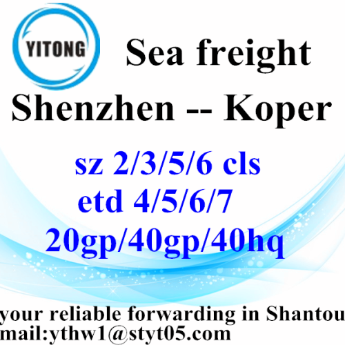 Shenzhen International Freight Forwarder Shipping to Koper