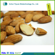 Wild Bitter Apricot Kernels