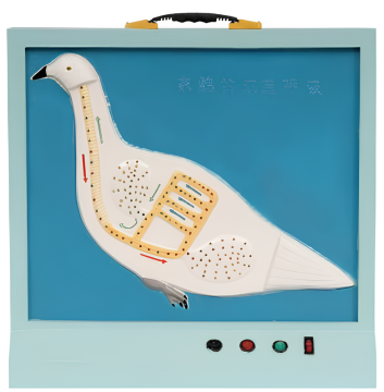 Pigeon double breathing apparatus