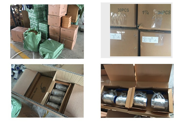 Stainless steel Elbow