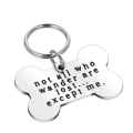 Tags ID pour animaux de compagnie pour collier de chiens