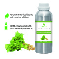 Aceite esencial de cilantro 100% puro y natural Aceite de bluk de alta calidad BLUK Oil para compradores globales El mejor precio