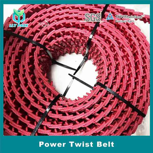 Power Twist Belt 6
