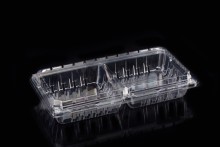 12oz Clear Plastic Clamshell Container