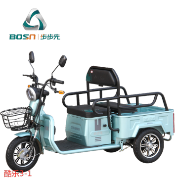 véhicule récréatif d&#39;exploitation de batterie de tricycle électrique