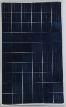 290W Poly Solar Panel