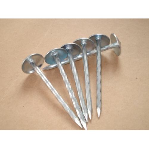 Best Plain Shank Umbrella Roofing Nails