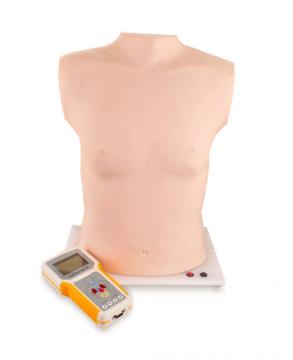 Cardiopulmonary Auscultation Teaching Manikin