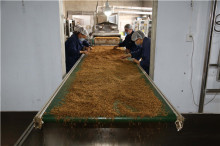 Chicken Wild Birds And Fish Feed Dried Mealworms