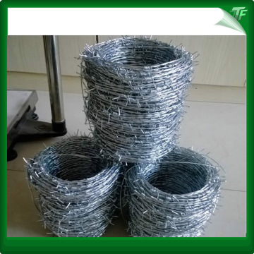 Green galvanized barbed iron wire