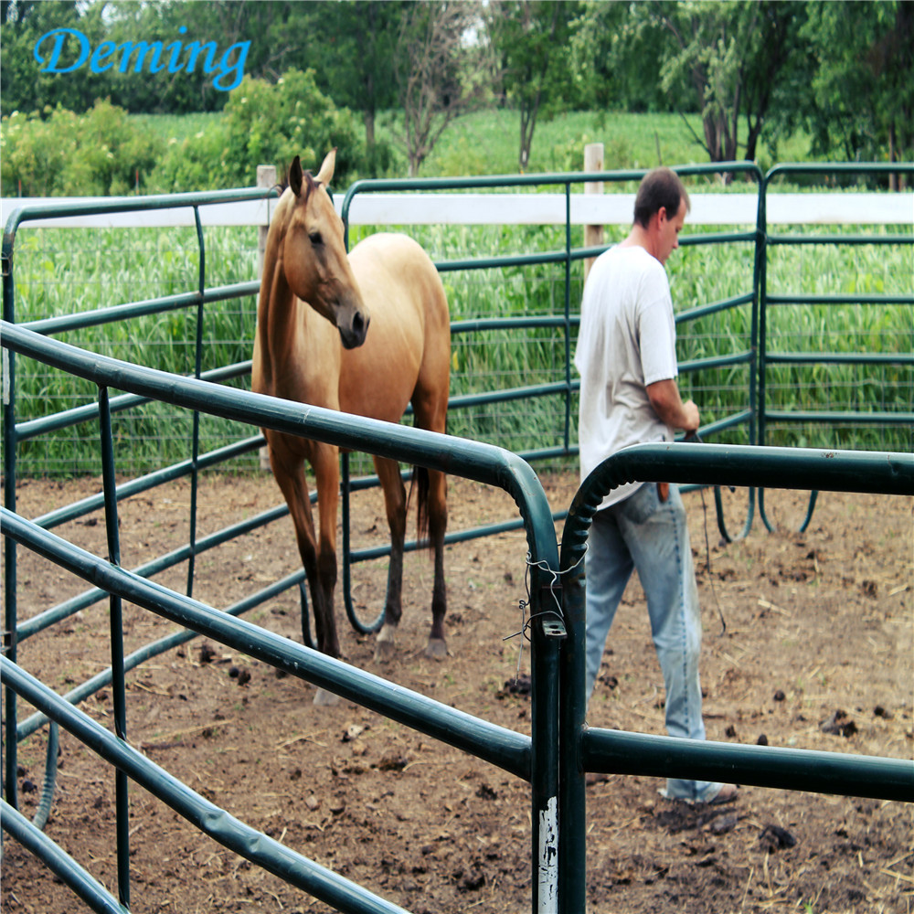 Hot Sale High Quality Horse Fence