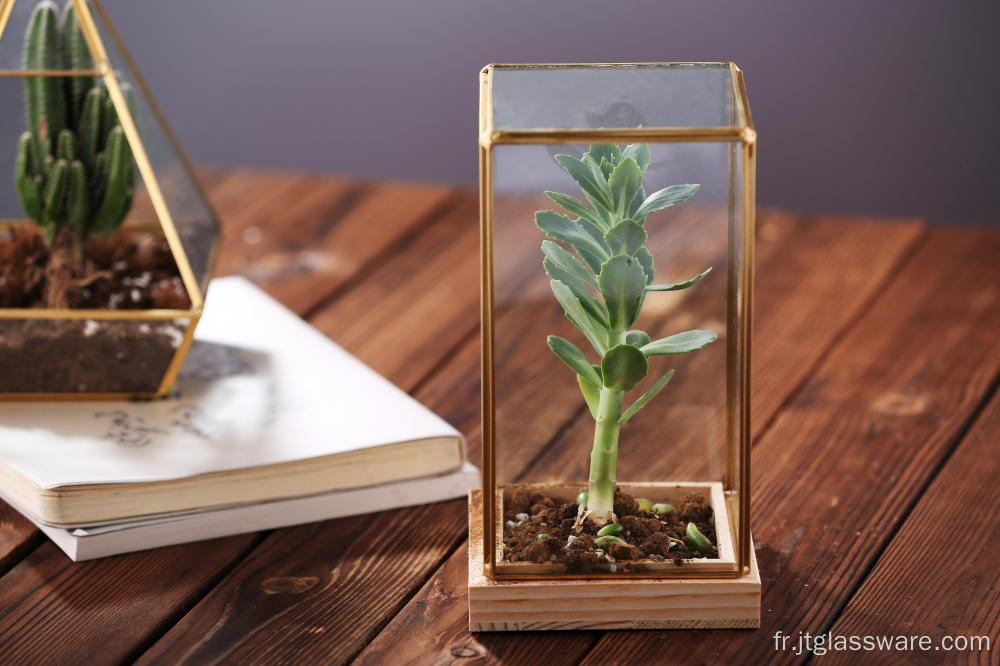 Terrarium de vase en verre transparent différent soufflé à la main